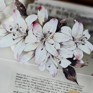Yier Studio | Lily Flower Language vintage flower PET tape SAMPLE | 100 cm loop