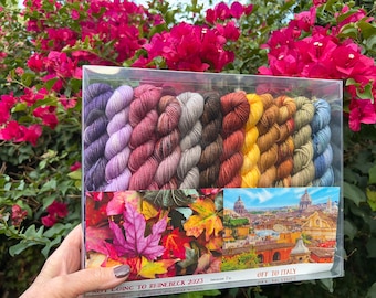 Not Going to Rhinebeck 2023...because I'm Off to Italy, 12 Mini Skeins, Fingering Weight Yarn or DK weight, Fall Colors,Hand Dyed Yarn