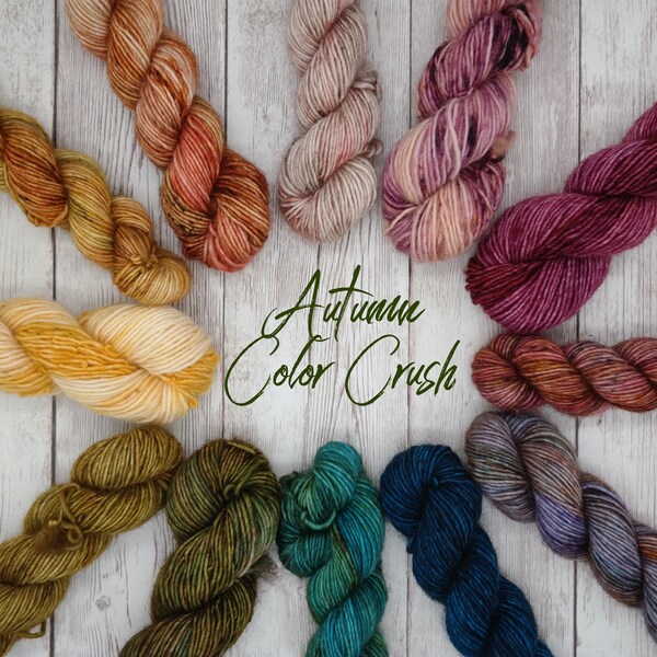 Hand Dyed Yarn-Autumn Color Crush Mini Skein Collection, Single Ply, Fall Colors, Indie Dyer