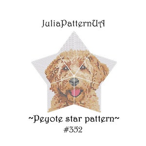 Puede incluir: La cara de un perro marrón y blanco está cosida en una forma de estrella de cinco puntas. La estrella está hecha de cuentas blancas y la cara del perro está hecha de cuentas marrones y blancas. La imagen está etiquetada "~Peyote star pattern~ #552".