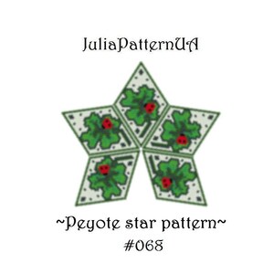 May include: A star-shaped graphic design labelled JuliaPatternUA and ~Peyote star pattern~ #068. The star is composed of five diamond-shaped segments featuring green clover leaves and small red ladybugs on a white background with green borders.