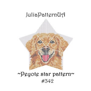 Golden Retriever 3D Peyote star pattern PDF Dog Beaded star pattern DIY Warped square pattern Puffy star Seed bead patterns