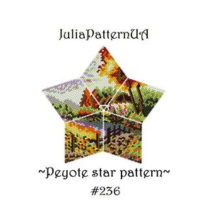 May include: A colorful peyote star beading pattern with a nature theme. The pattern is divided into five sections, each depicting a different scene. The pattern is labeled "~Peyote star pattern~ #236".