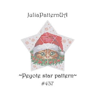 Christmas cat in a hat 3D Peyote star pattern PDF Beaded star pattern DIY Peyote stitch puffy star Warped square seed bead patterns