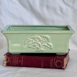 May include: A rectangular, light green ceramic bonsai pot with a raised tree design on the front. The pot is resting on a vintage, burgundy-colored book with gold lettering. The book is titled "Holmes' Complete Poems".