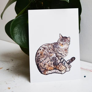 A5 &#39;Detailed&#39; Bespoke Pet Portrait Commission