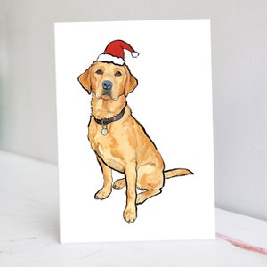 Bonnet de Noël labrador rouge renard