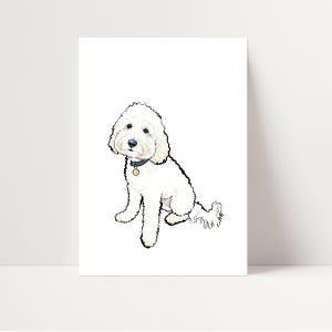 Weißer Cockapoo Druck | Weißer Cockapoo Wandbild