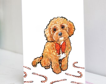 Cavapoo Weihnachtskarte