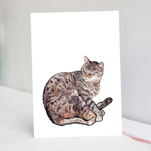 Carte Chat tigré endormi