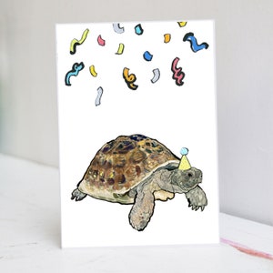 Tortoise Birthday Card | Turtle Birthday Card | Tortoise Card