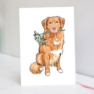 Toller Retriever Christmas
