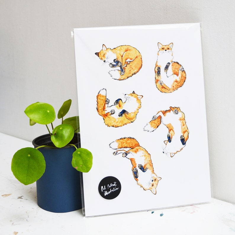 Sleeping Fox Print Fox Wall Art Fox Art Fox Illustration image 4