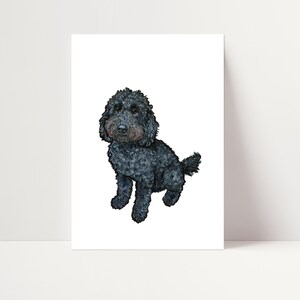 Puede incluir: Un perro doodle negro sentado con la cabeza inclinada y mirando a la cámara. El perro tiene un pelaje rizado y una cola larga.