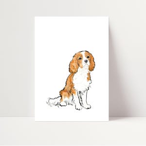 Cavalier King Charles Spaniel Druck | Cavalier Spaniel Wandkunst