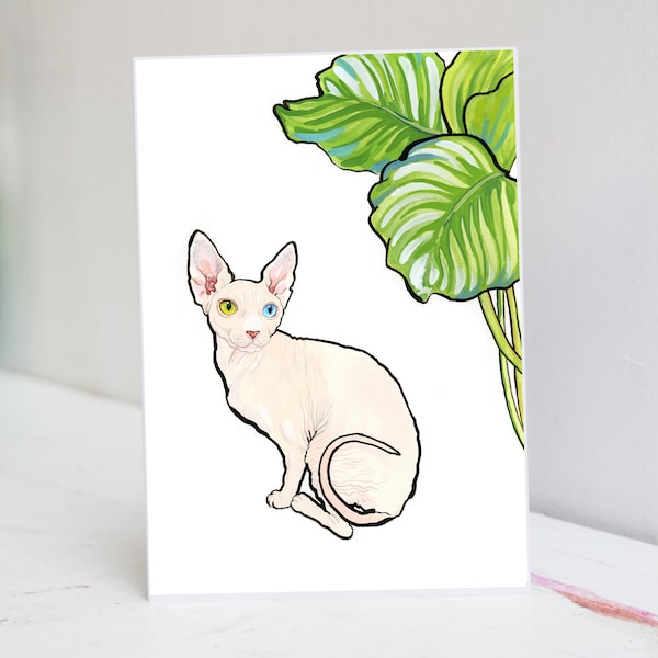 Sphynx Cat Greetings Card | Cat Greetings Card