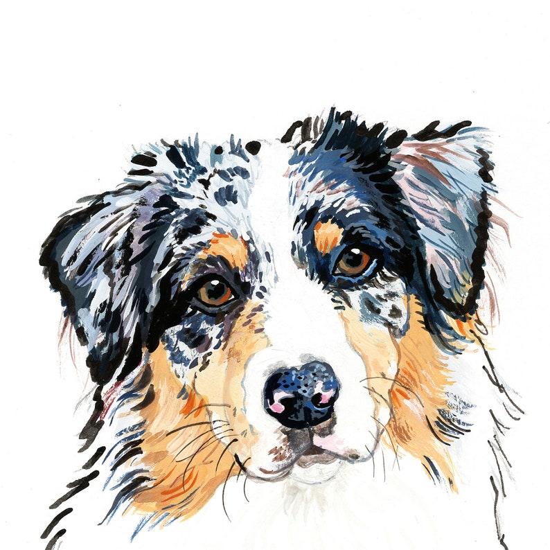 Australian Shepherd Wall Art Australian Shepherd Print Etsy
