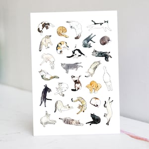 de yoga de chat | carte drôle de chat | Chat endormi | Carte sieste chat
