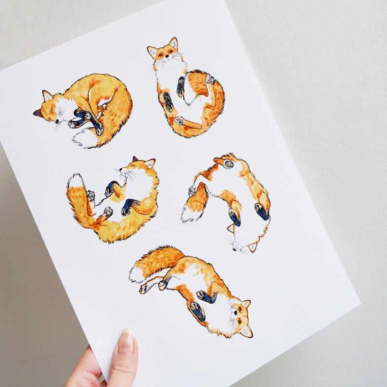 Sleeping Fox Print Fox Wall Art Fox Art Fox Illustration image 2