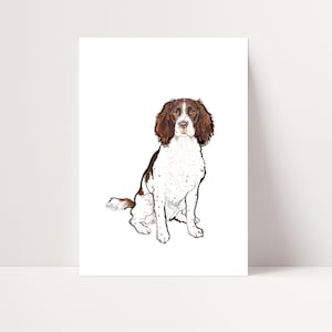 Springer Spaniel Print | Springer Spaniel Wall Art