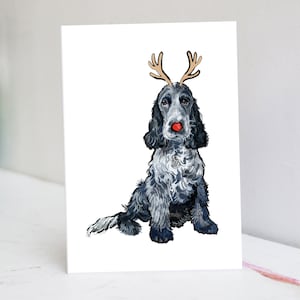 Kerstkaart Blue Roan Cocker-spaniël