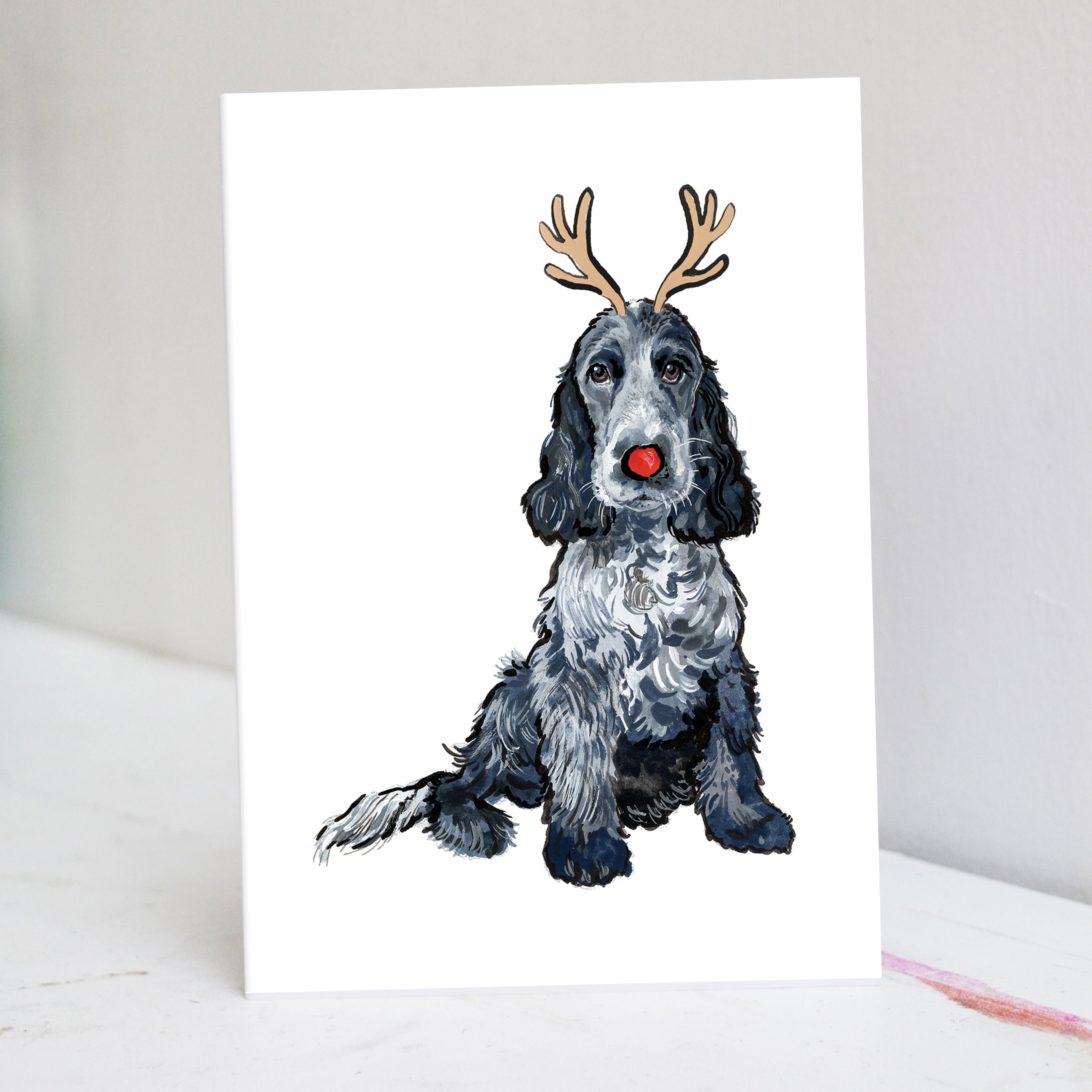 Blue roan spaniel - Etsy Polska