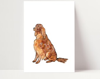 Rot Setter Druck | Red Setter Wandkunst