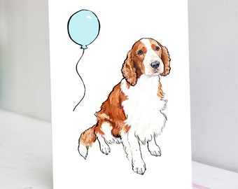 Welsh Springer Spaniel Birthday