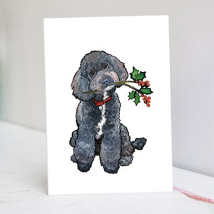 Gepersonaliseerde zwarte Toy Poodle-kerstkaart