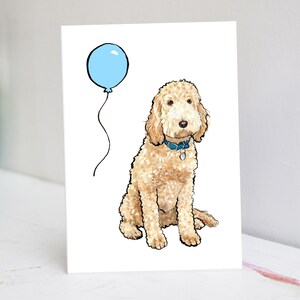 Fête d'anniversaire Labradoodle