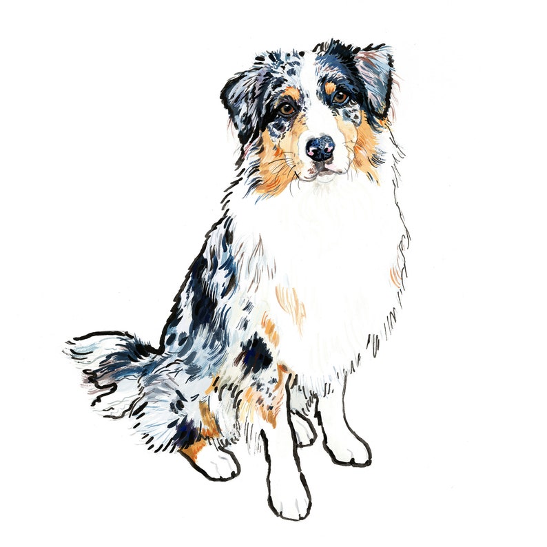 Australian Shepherd Wall Art Australian Shepherd Print Etsy