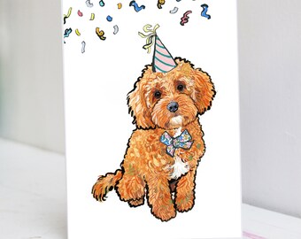 cavapoo stuff