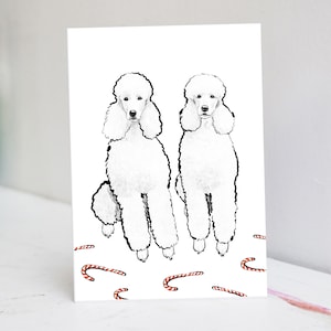 White Poodle Christmas Card