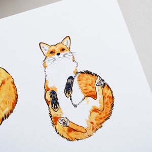 Sleeping Fox Print Fox Wall Art Fox Art Fox Illustration image 3