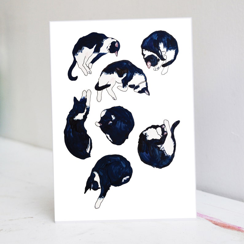 May include: A white background with a black and white illustration of seven cats in various sleeping positions. The cats are all curled up in different ways, some with their paws tucked under their chins, others with their tails wrapped around their bodies.