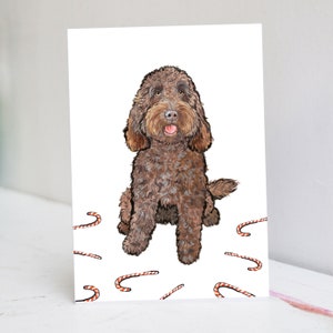Schokolade Cockapoo Weihnachtskarte