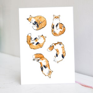 Sleeping Fox Card Fox Birthday Card Cute Fox Card image 1