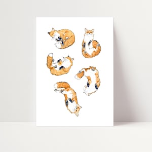 Sleeping Fox Print | Fox Wall Art | Fox Art | Fox Illustration