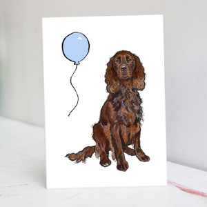 Puede incluir: Un perro marrón y blanco con orejas caídas está sentado frente a un globo azul claro. El perro está mirando el globo.
