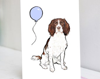 Springer Spaniel Birthday Card