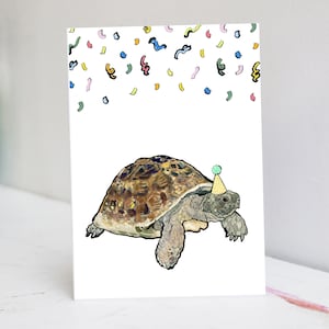 Cartão de aniversário de tartaruga | Cartão de aniversário de tartaruga | Cartão de aniversário de tartaruga
