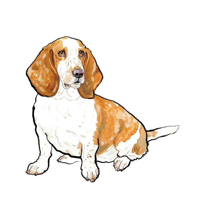 A4 'Detailed' Bespoke Pet Portrait Commission image 2