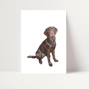 Chocolate Labrador Print | Labrador Wall Art