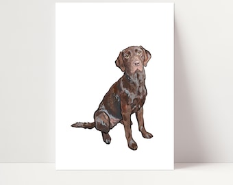 Chocolate Labrador Print | Labrador Wall Art