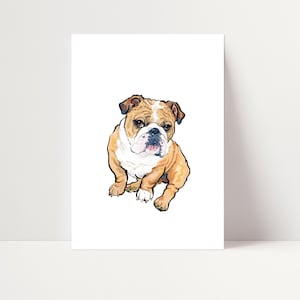 Arte murale del vecchio bulldog inglese / Stampa del vecchio bulldog inglese / Regalo del vecchio bulldog inglese