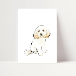 Op de afbeelding: Een witte en crèmekleurige hond met bruine ogen zit met zijn staart gekruld erachter. De hond is een poedelmix en is getekend in een cartoon-stijl.