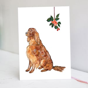Gepersonaliseerde kerstkaart rode setter