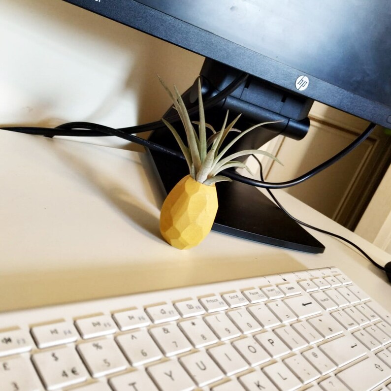 Pineapple Air Plant Holder Pineapple Airplant Geometric Air Etsy UK