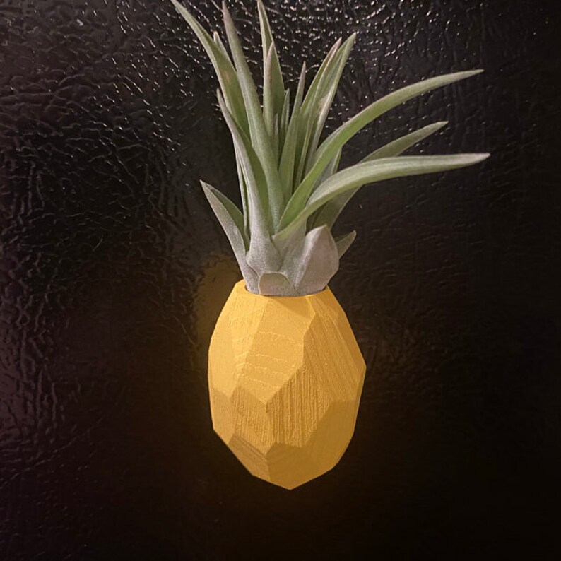 Pineapple Air Plant Holder Pineapple Airplant Geometric Air Etsy