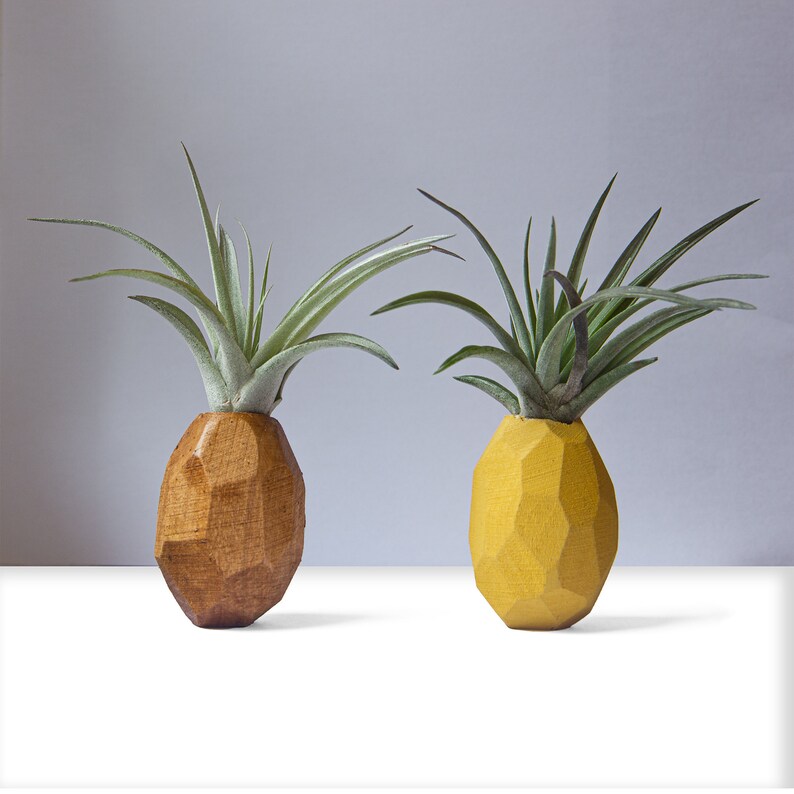 Pineapple Air Plant Holder Pineapple Airplant Geometric Air Etsy UK